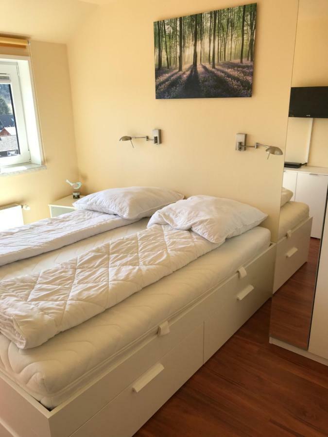Ferienwohnung Jule Braunlage Zewnętrze zdjęcie